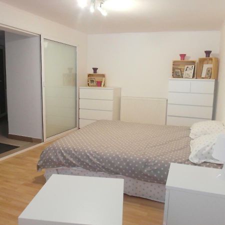 Studio Moliere Lägenhet Braşov Exteriör bild